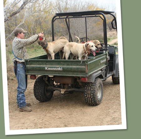 Hogstickers: We hunt hogs with dogs