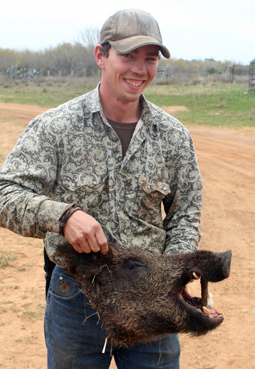 Hogstickers hunt, January, 2012 - image